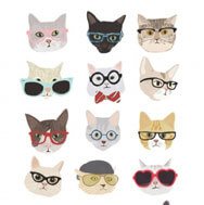 nursery art funny cat with glasses