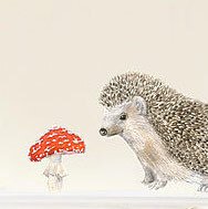 Hedgehog wall sticker