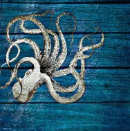 octopus under the sea nursery art