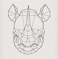 minimal geometric rhino art