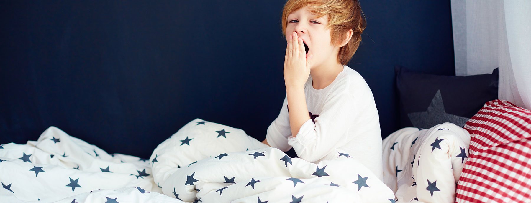 12 Things To Consider Before Buying A Loft Bed