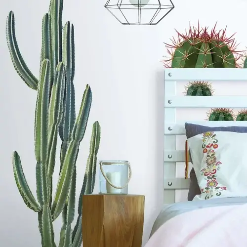 Giant realistic cactus wall decal