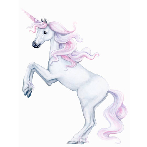 Magical Unicorn Wall Decal